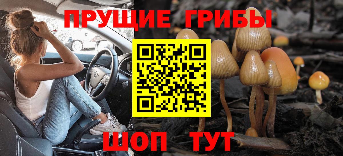 Псилоцибиновые грибы Cubensis Саранск
