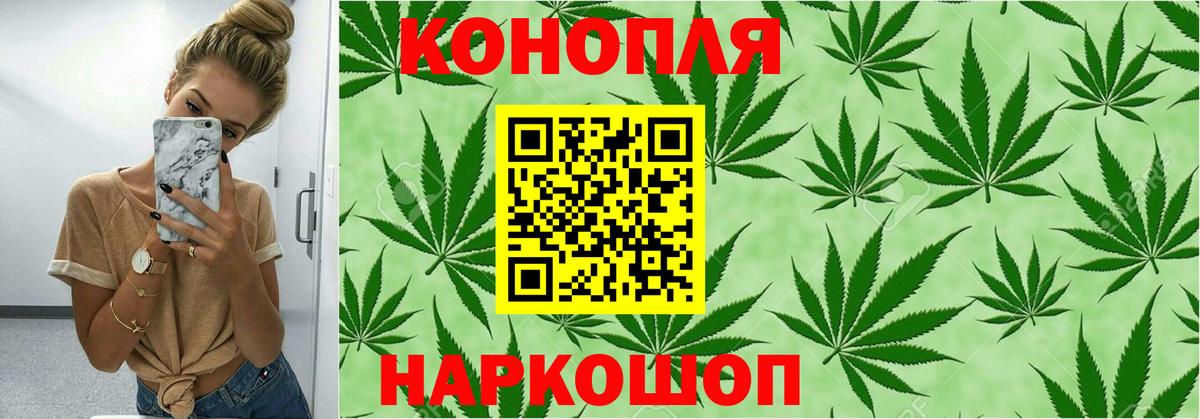 МАРИХУАНА планчик  Шишки марихуана сатива  Саранск  Вход с VPN  Шишки марихуана семена 